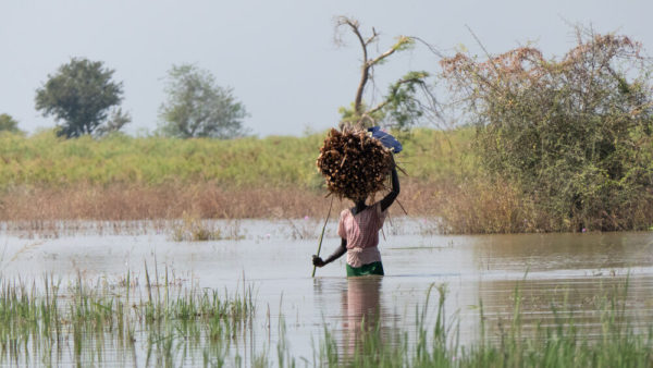 Una donna attraversa le acque alluvionali nel paese di Rubkona, a Bentiu, per raccogliere legna da ardere.