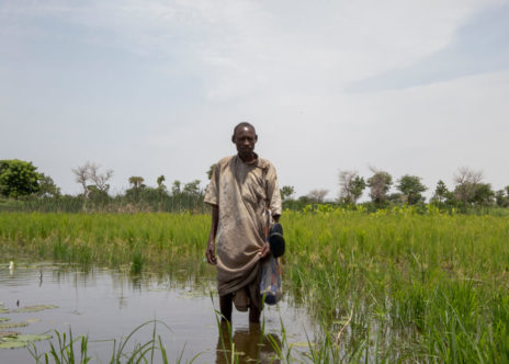 Nigeria Cambiamento Climatico Uomo pescatore in uno stagno